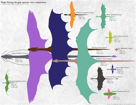 Dragon Comparison .